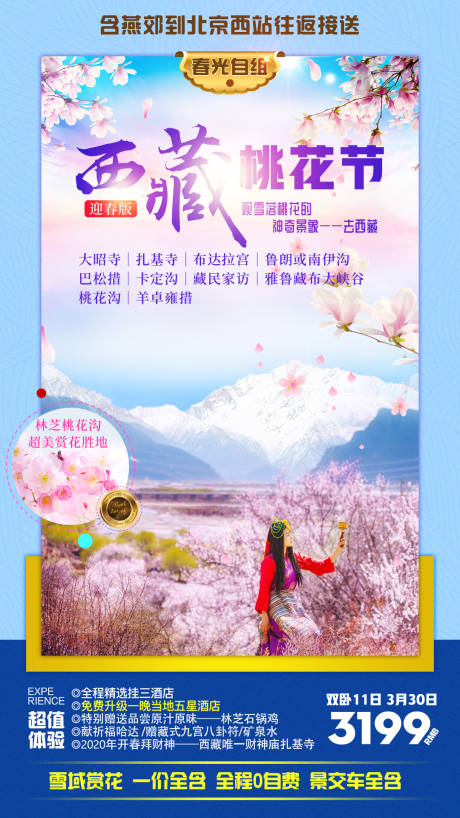 西藏桃花节旅游海报