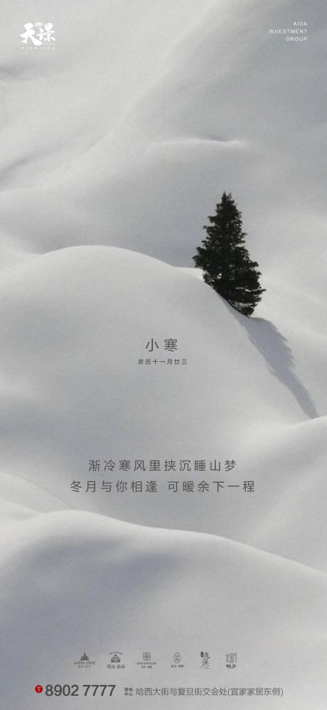 编号：20201227150504494【享设计】源文件下载-地产小寒大气雪景意境海报