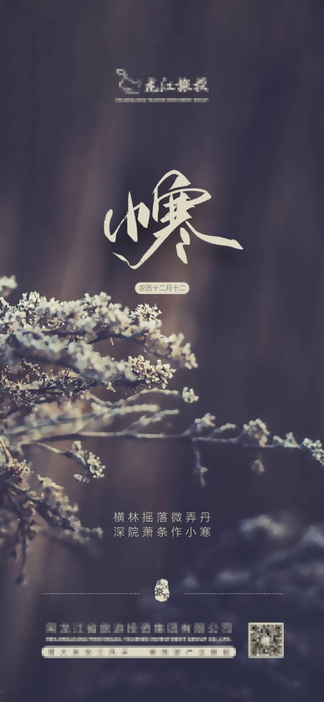 源文件下載【小寒節氣地產單圖海報】編號：23720003079772799