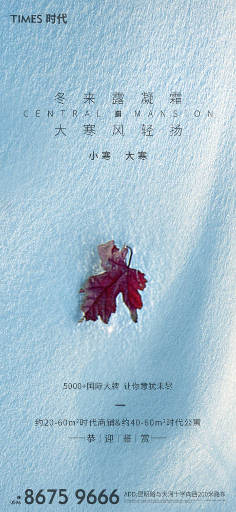 源文件下载【大寒小寒节气海报】编号：86130002909392668