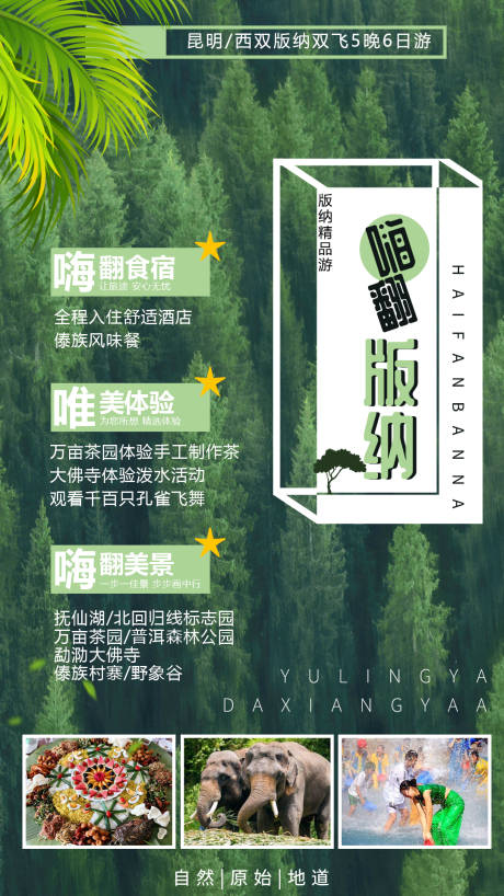 源文件下载【版纳旅游海报】编号：19360002950716784