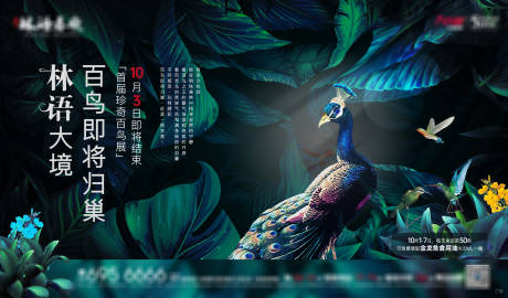 源文件下载【百鸟展背景板】编号：12600002859294066