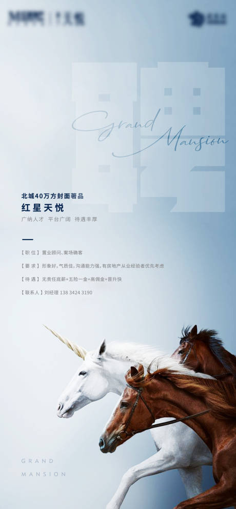 源文件下载【马招聘蓝色海报】编号：51250002820493260