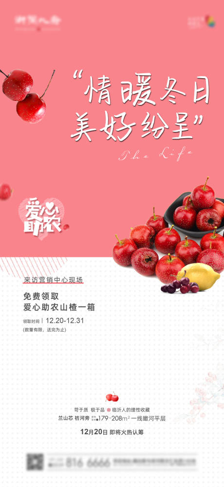 源文件下载【爱心助农山楂微信海报】编号：41960002965186869