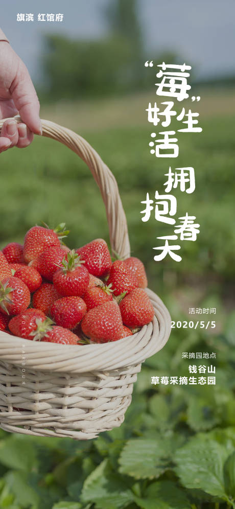 源文件下载【草莓采摘活动海报】编号：73340002822174068