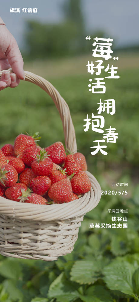 编号：20201207194753690【享设计】源文件下载-草莓采摘活动海报