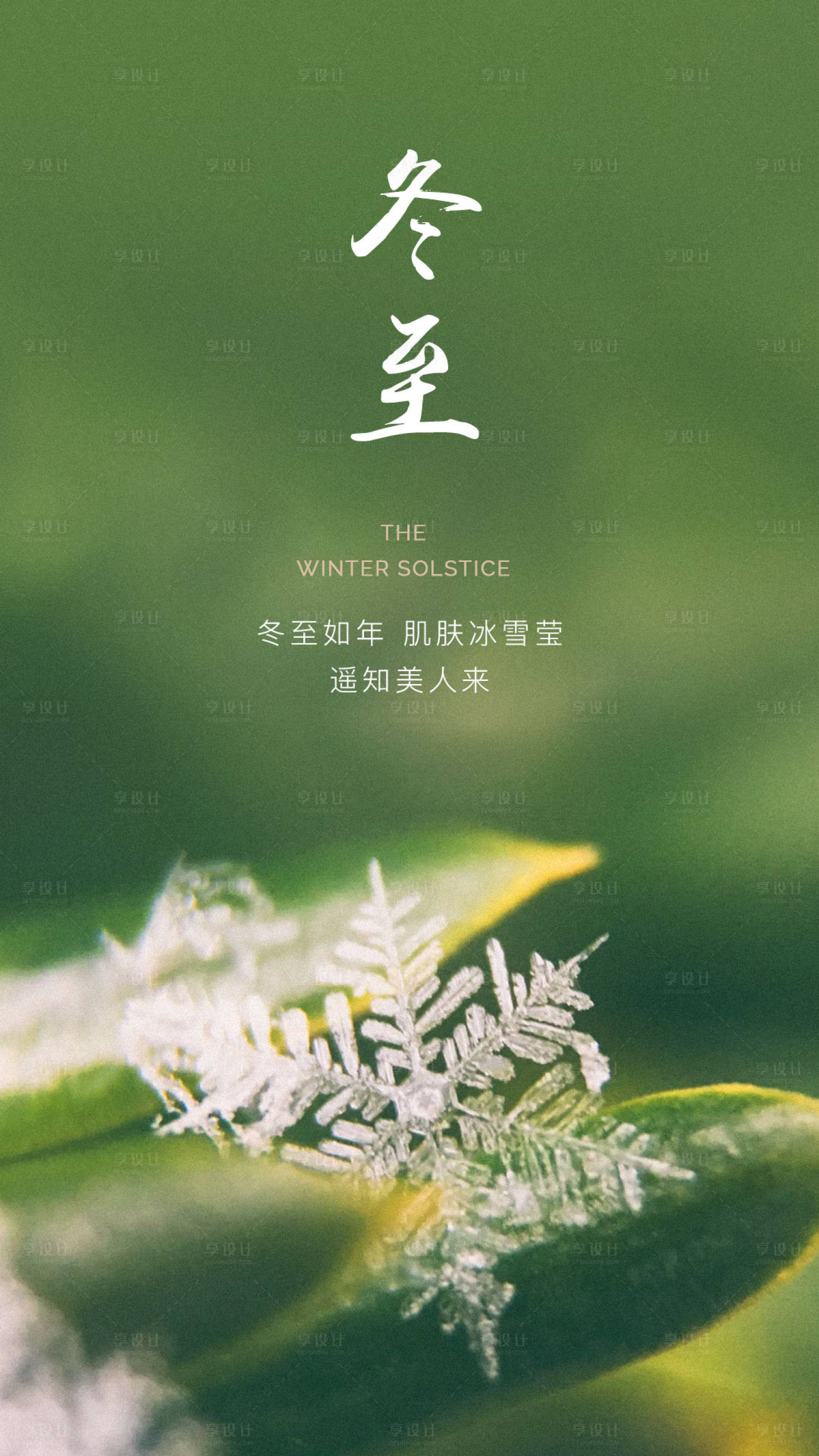 源文件下载【冬至医美海报】编号：62580002950456099