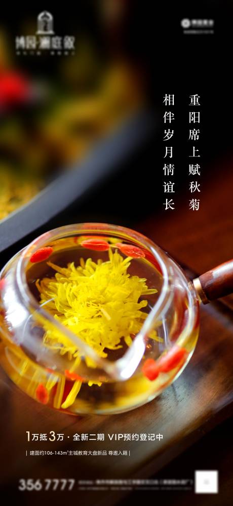 源文件下载【重阳节海报】编号：89740002819884789