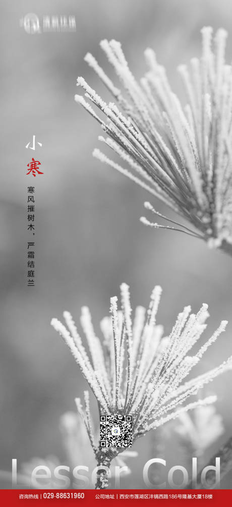 源文件下载【小寒节气海报】编号：55070003095472653