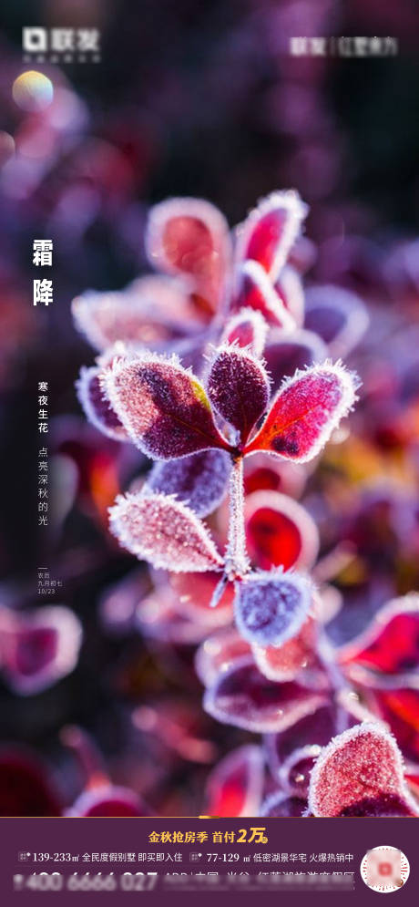 源文件下载【霜降节气海报】编号：20201204103805919