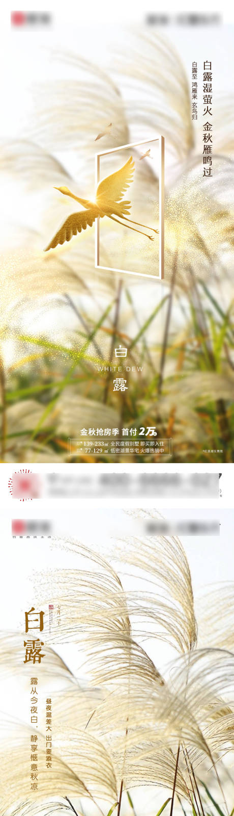 源文件下载【享设计】搜索编号：81150002788079293【白露节气移动端海报】