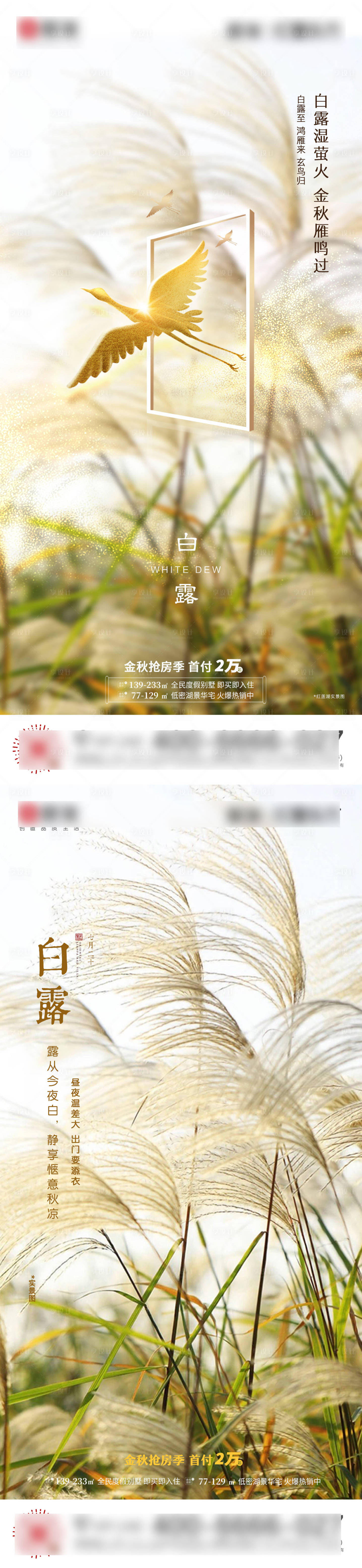 源文件下载【享设计】搜索编号：81150002788079293【白露节气移动端海报】