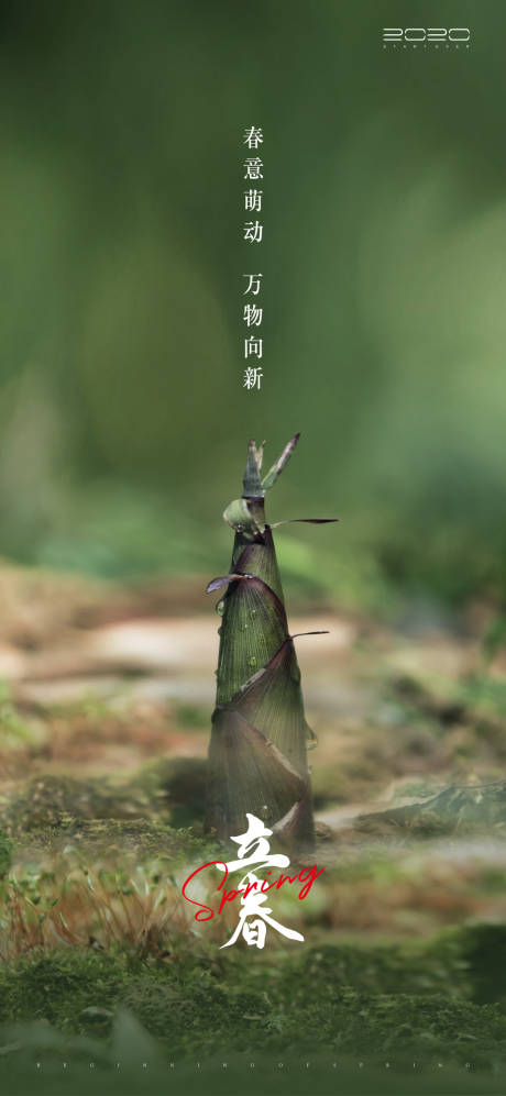 源文件下载【立春节气海报】编号：49890003172579458
