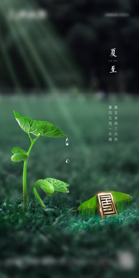 源文件下載【地產(chǎn)夏至春分節(jié)氣】編號(hào)：32010003331768189
