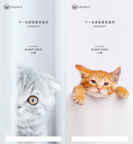 源文件下载【小寒冬猫】编号：67380003153139219