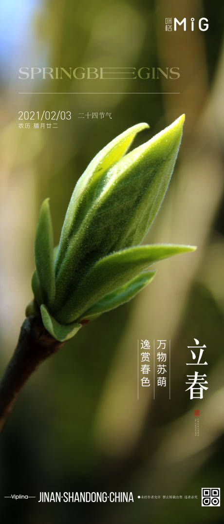 源文件下载【立春二十四节气海报】编号：13350003429945025