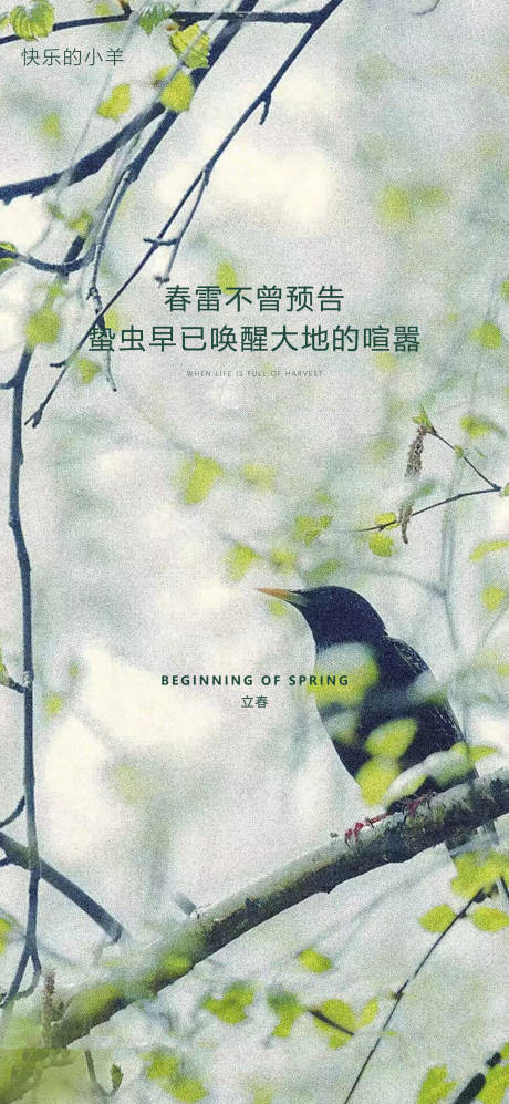 源文件下载【立春节气海报】编号：12420003402341749