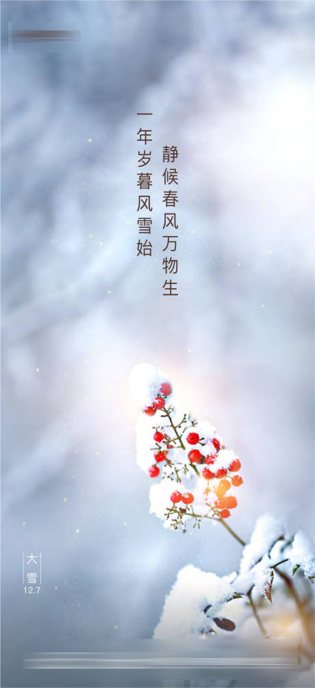 源文件下载【大雪简约节气稿】编号：20210106204734488