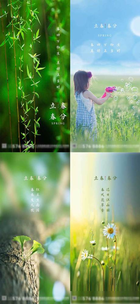 源文件下載【立春春分春天 】編號：43900003429939111