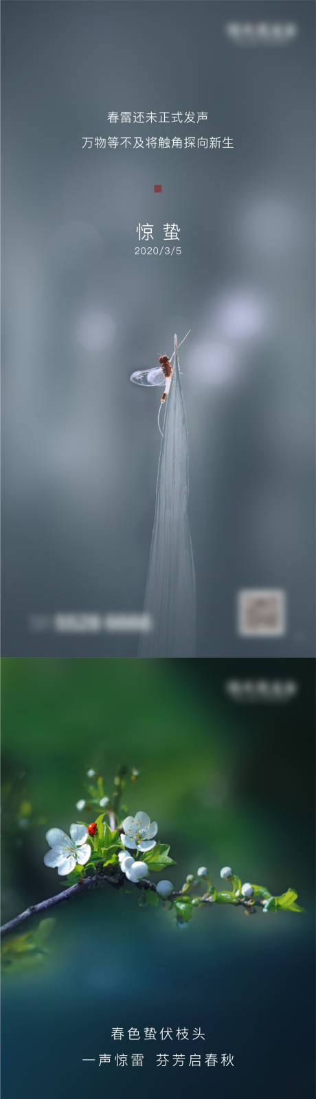 源文件下载【惊蛰节气海报】编号：83730003435109085