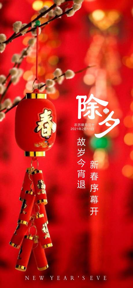 源文件下载【除夕海报】编号：89090003408912103
