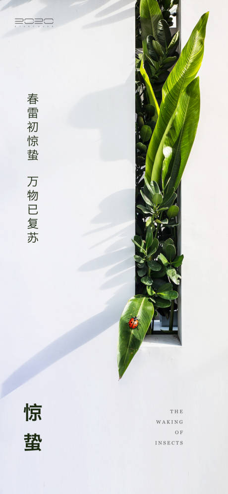 源文件下载【惊蛰节气海报】编号：39200003363224265