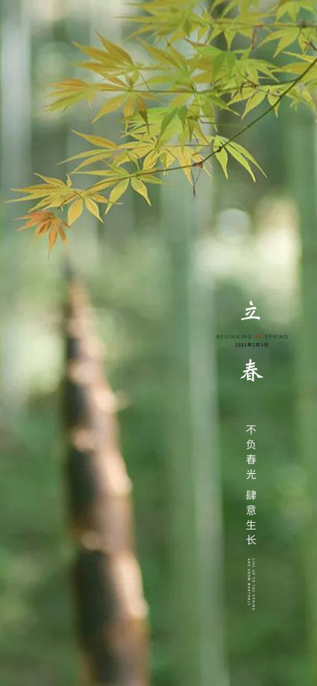 源文件下载【立春节气移动端海报】编号：41080003418096397