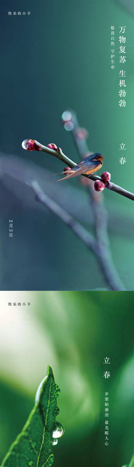 源文件下载【立春节气海报】编号：81100003346941149