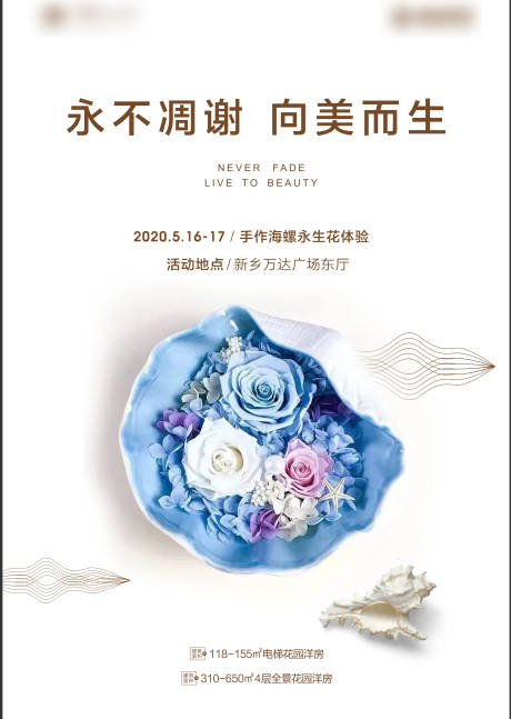 源文件下载【贝壳 永生花】编号：20210127115134269