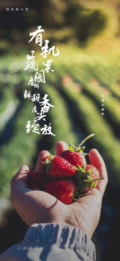 源文件下載【享設計】搜索編號：96920003393632104【草莓采摘活動】