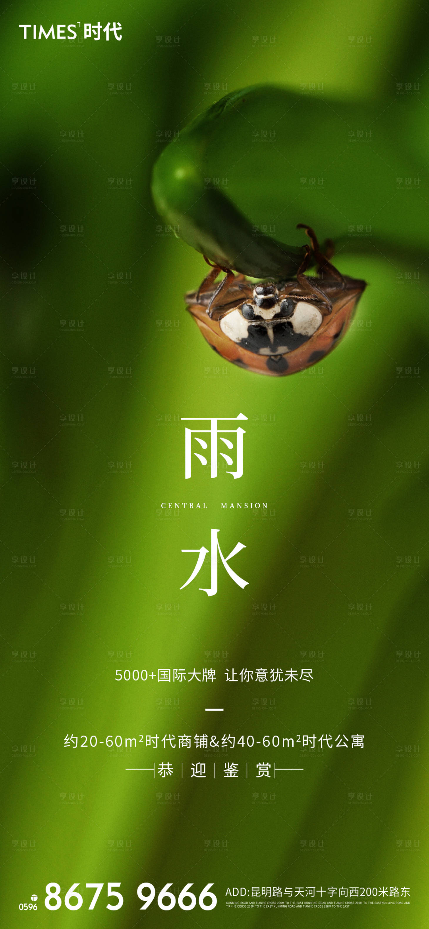 源文件下載【雨水海報】編號：51630003422354610