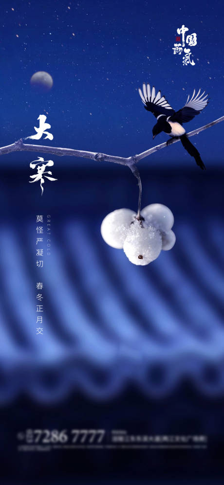 源文件下载【大寒节气海报】编号：24100003183386680