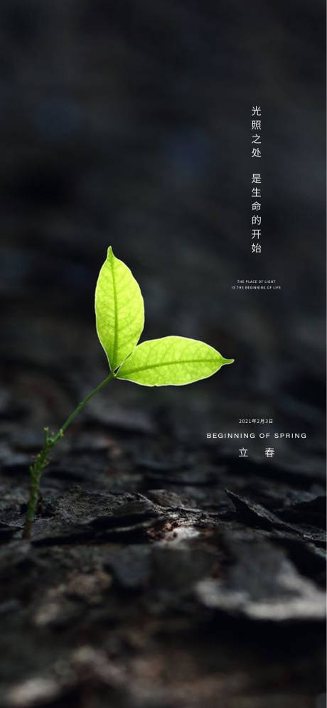 源文件下载【立春节气移动端海报】编号：85340003418056256