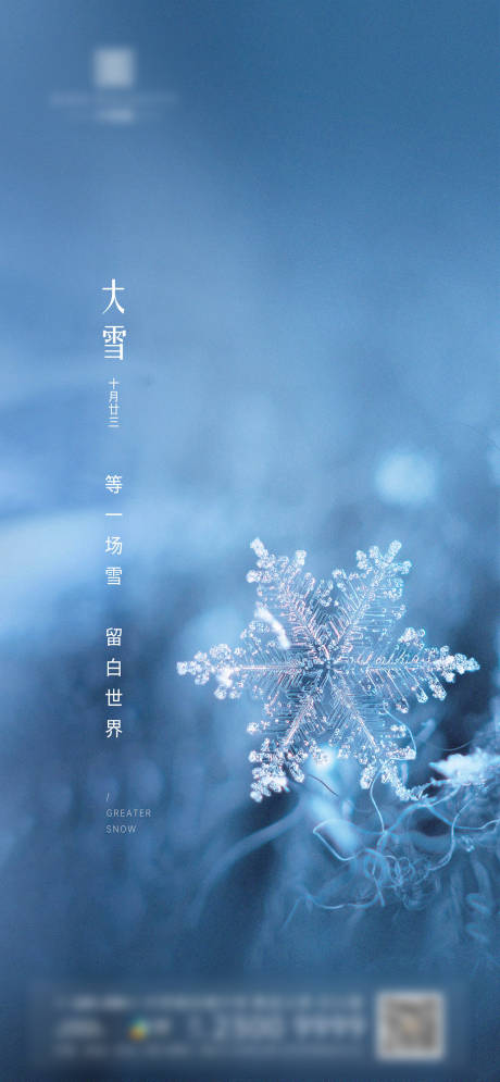 源文件下载【大雪节气海报】编号：84510003136827432