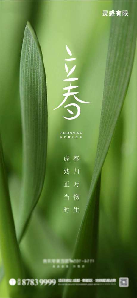 源文件下載【立春節氣移動端海報】編號：36100003320143460