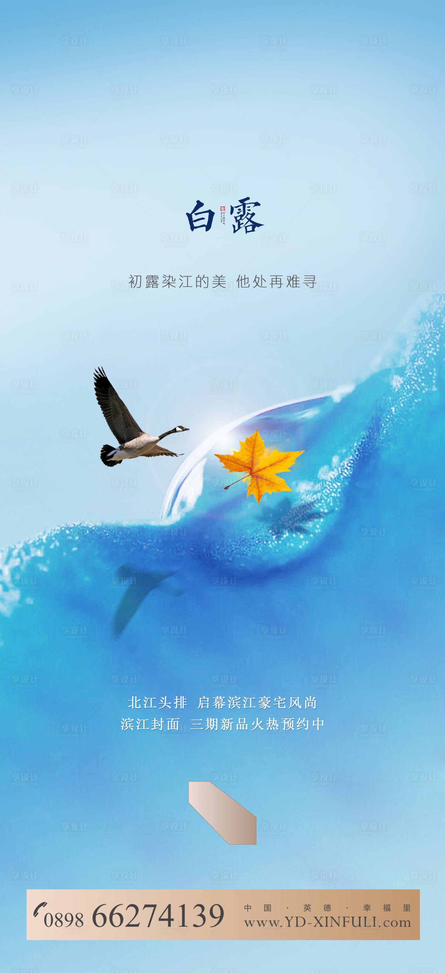源文件下载【地产白露节气海报】编号：48390003155326545