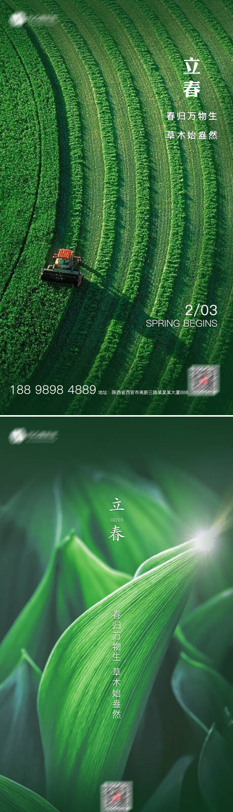 源文件下載【立春綠色質(zhì)感海報(bào)】編號(hào)：44590003364203248
