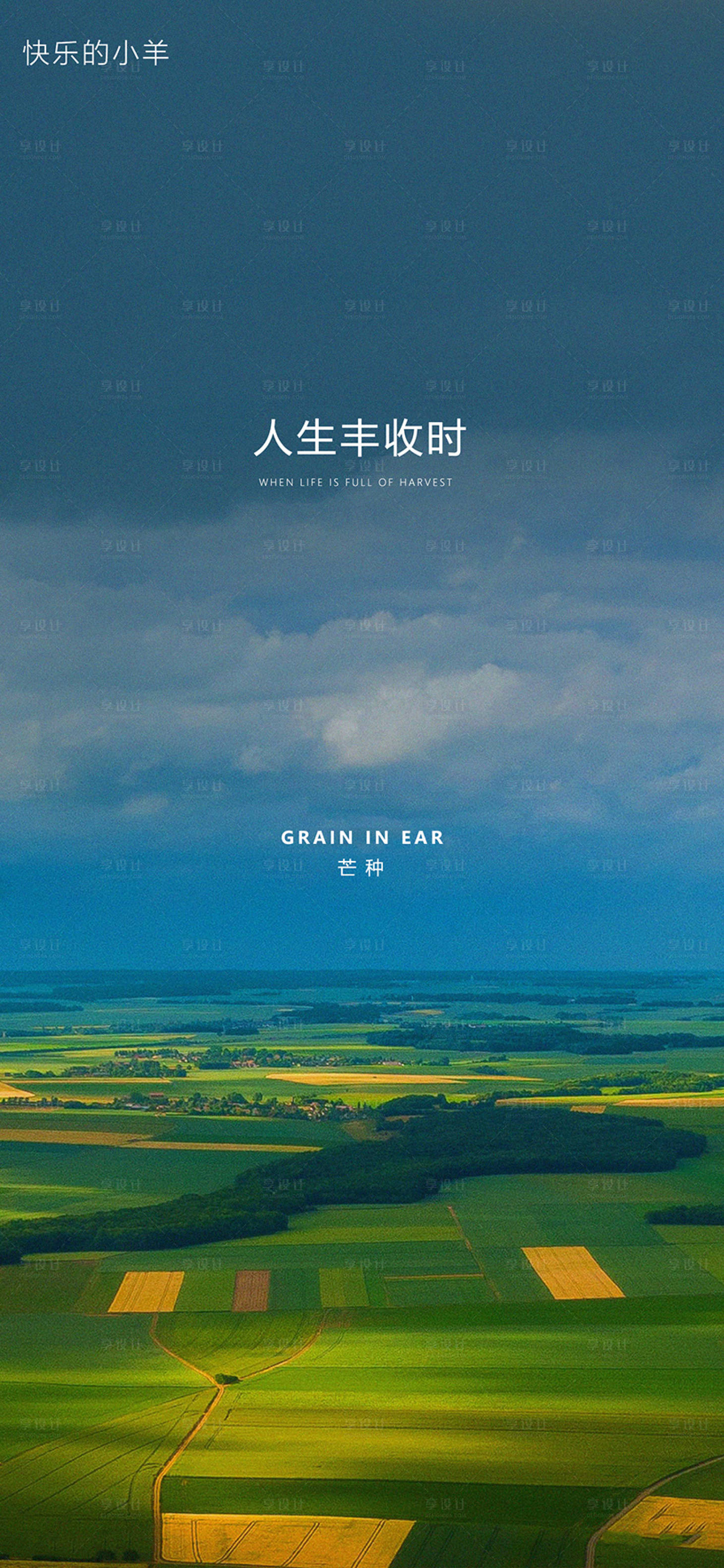 源文件下载【芒种节气海报】编号：11720003402373615