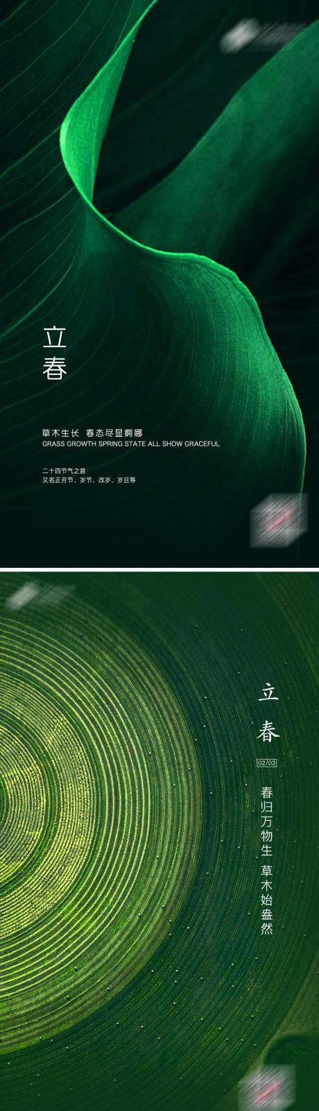源文件下载【享设计】搜索编号：91970003327375670【立春绿色质感海报】
