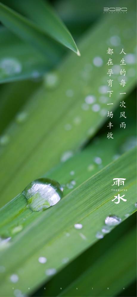 源文件下载【雨水节气海报】编号：20210111142741347