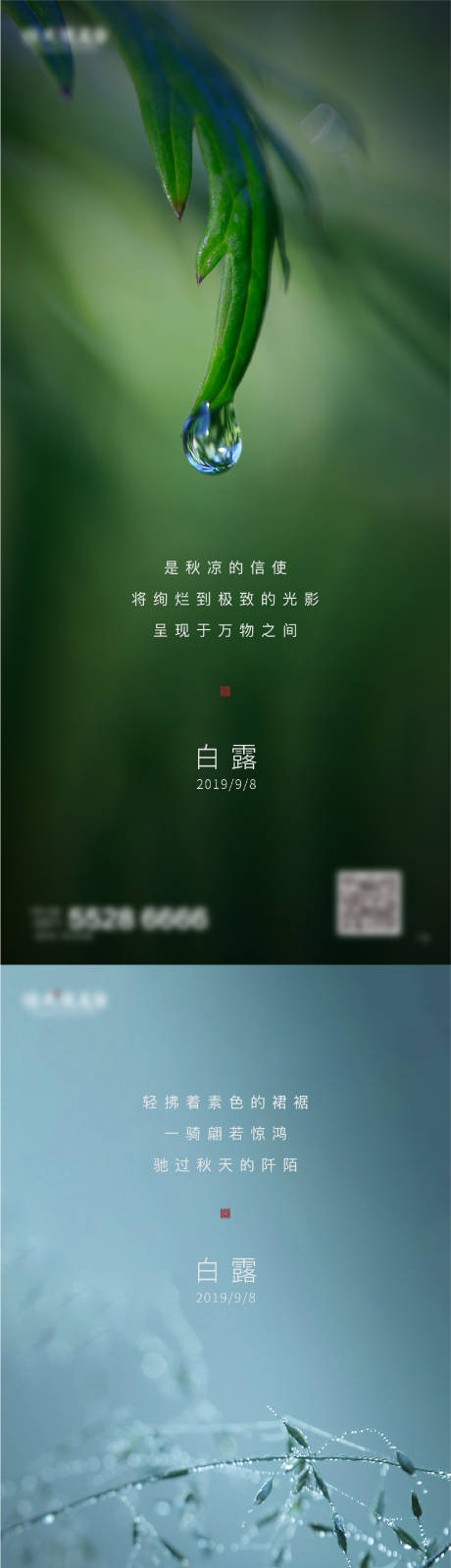 源文件下载【白露节气移动端海报】编号：66860003197367945