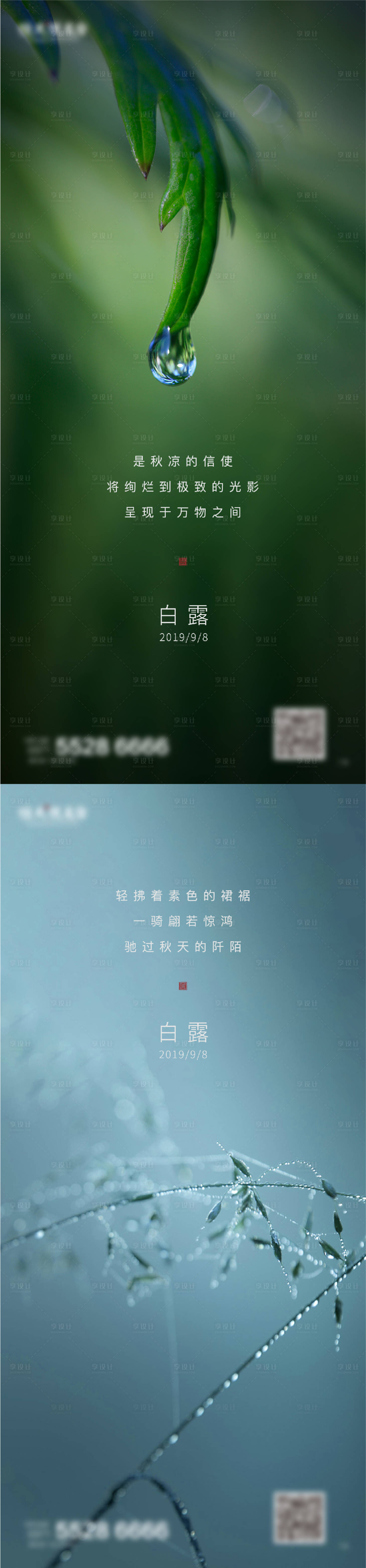源文件下载【白露节气移动端海报】编号：66860003197367945