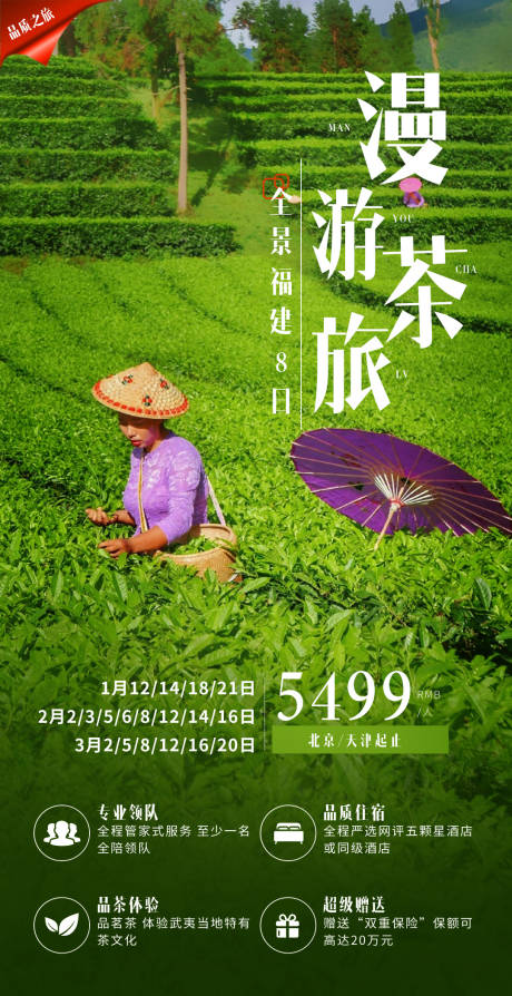 编号：20210120162017870【享设计】源文件下载-漫游茶旅旅游海报