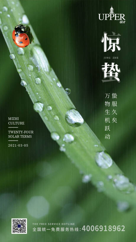 源文件下載【驚蟄節氣海報】編號：52540003631752662