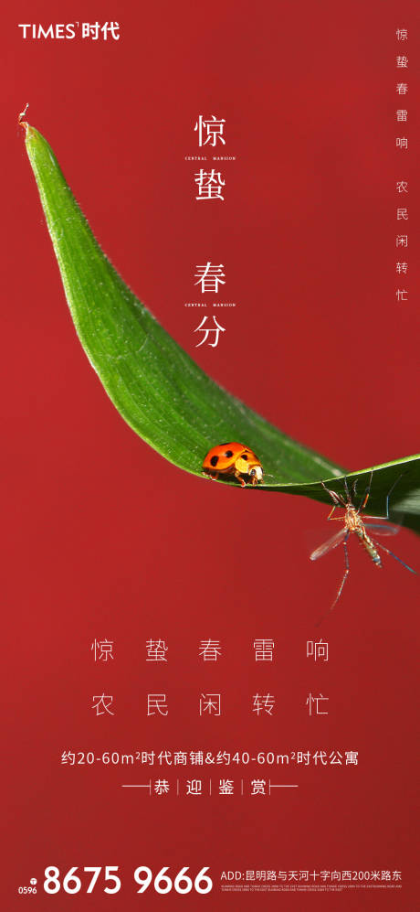 源文件下载【惊蛰春分海报】编号：32640003443321176