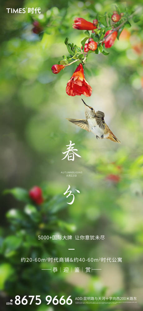 源文件下载【春分】编号：14350003584457296
