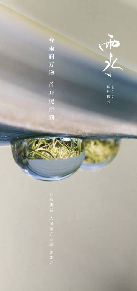 源文件下载【雨水海报】编号：20210216215329542