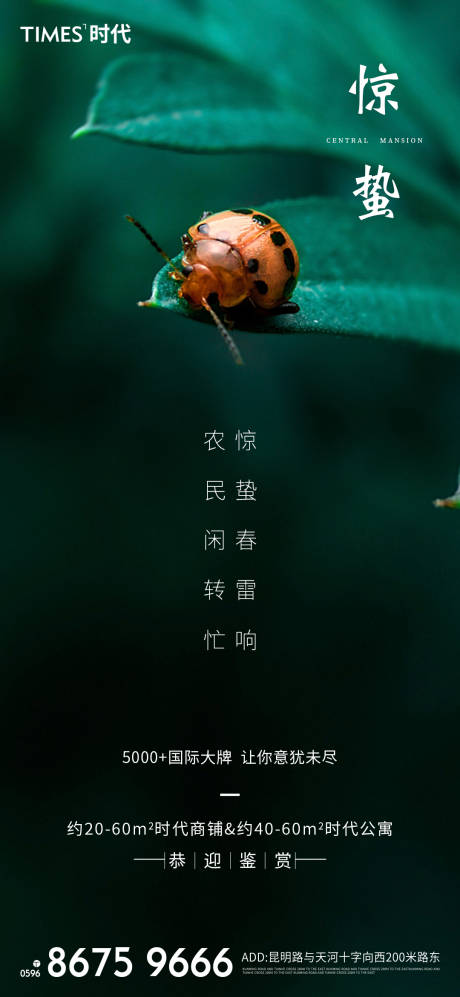 源文件下载【惊蛰海报】编号：69620003441961636