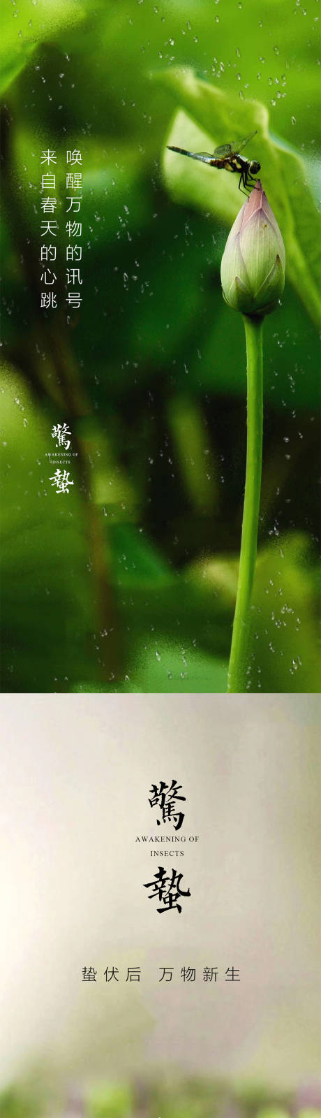 源文件下载【惊蛰节气海报】编号：44560003526846494