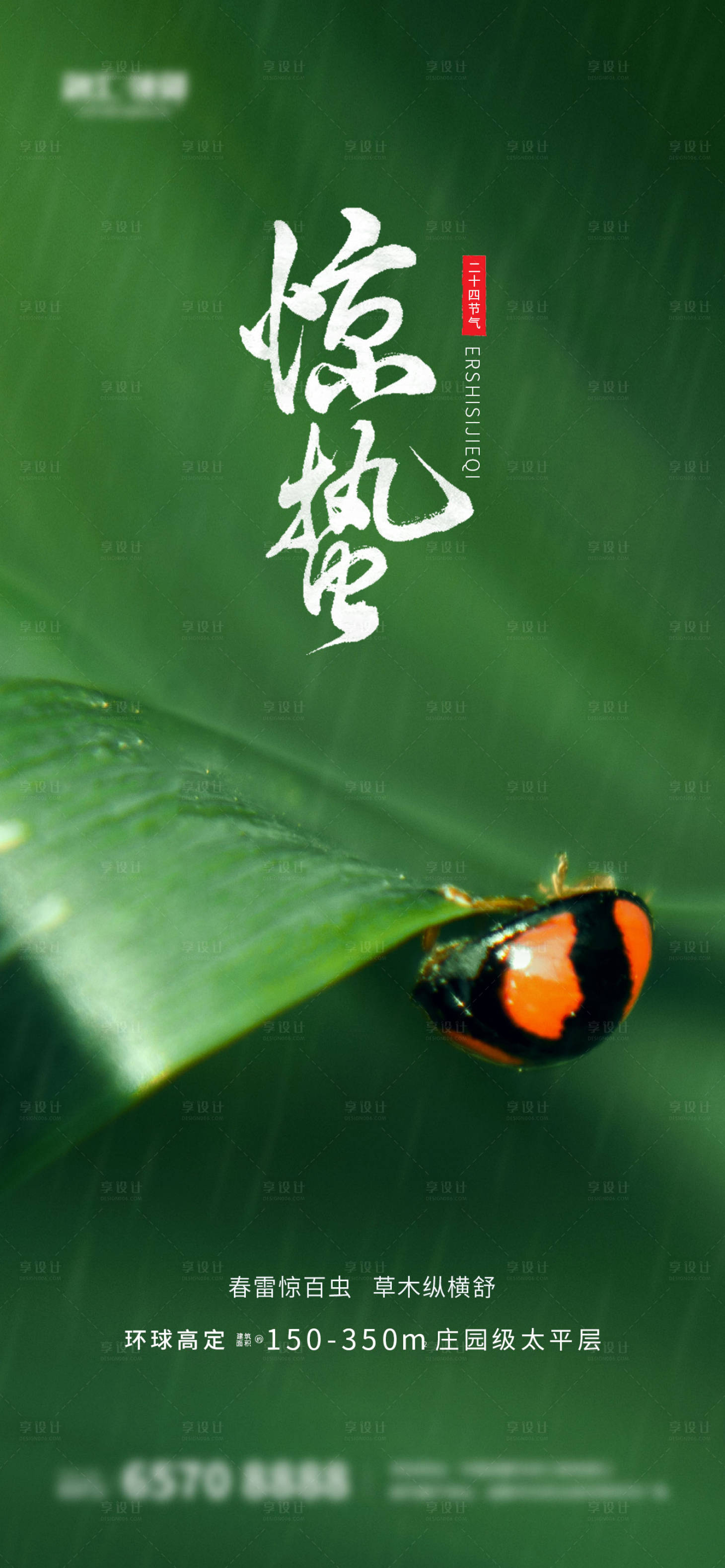 编号：20210219165243815【享设计】源文件下载-惊蛰春天虫子绿芽海报